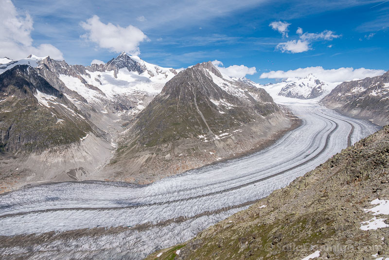 Glaciar Aletsch Suiza Eggishorn Vista
