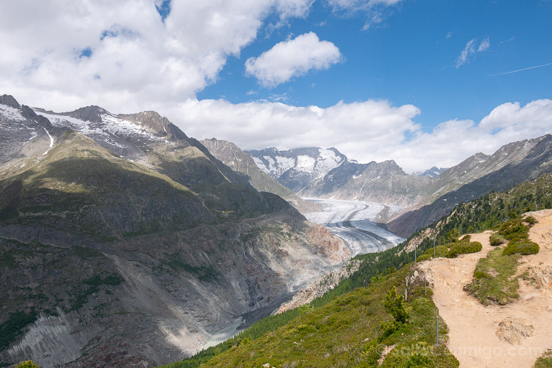 Glaciar Aletsch Suiza Hohfluh Mirador