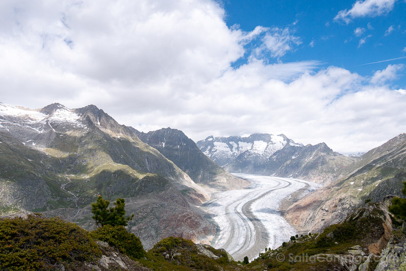 Glaciar Aletsch Suiza Moosfluh Mirador