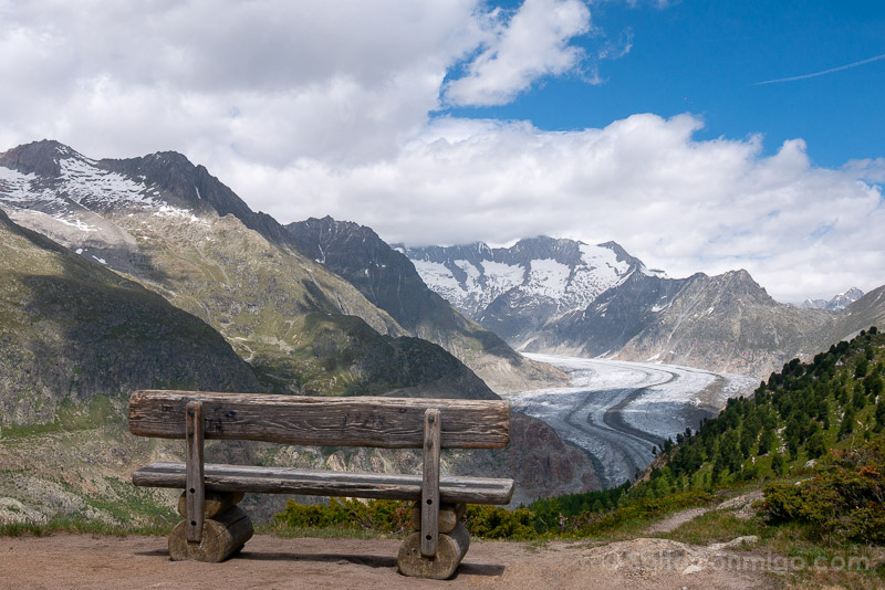 Glaciar Aletsch Suiza Ruta Senderismo Banco