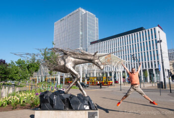 Lodz Calle Piotrkowska Unicornio Salto