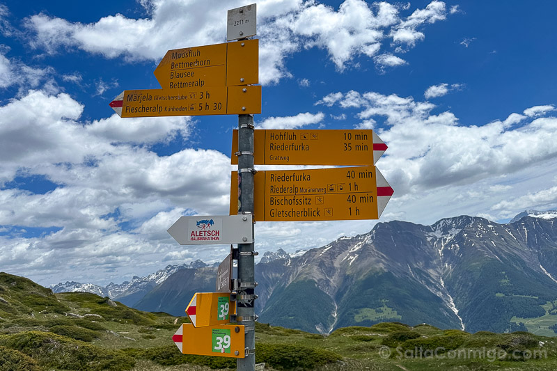 Que Hacer Aletsch Arena Suiza Senderismo Carteles