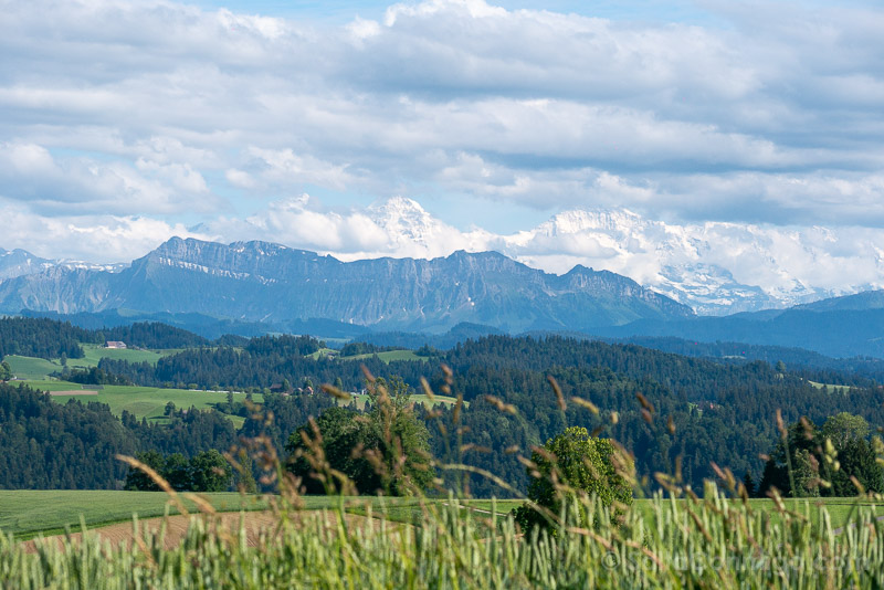 Que Ver en Emmental Paisaje Verde Alpes