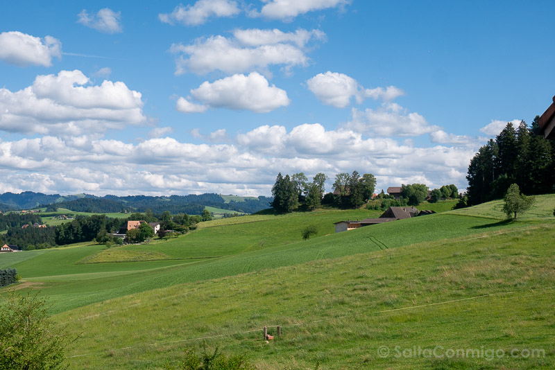 Que Ver en Emmentaler Paisaje Verde