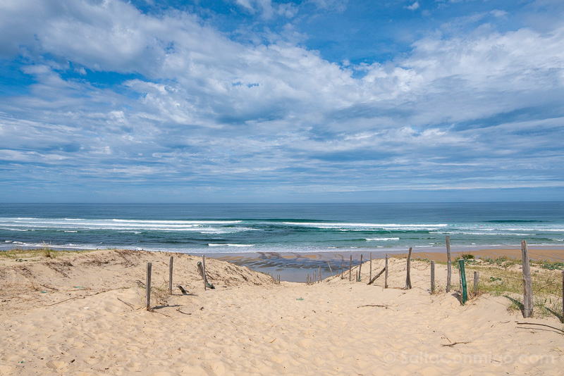 Que Ver en Mimizan Reserva La Mailloueyre Playa