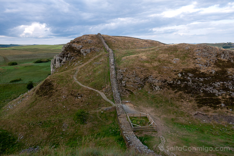 Muro de Adriano Sycamore Gap Tree