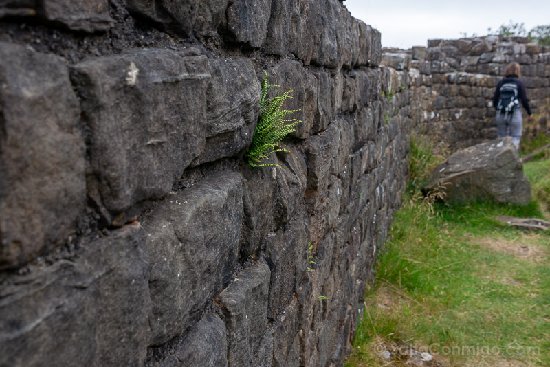 Muro de Adriano en Walltown Crags