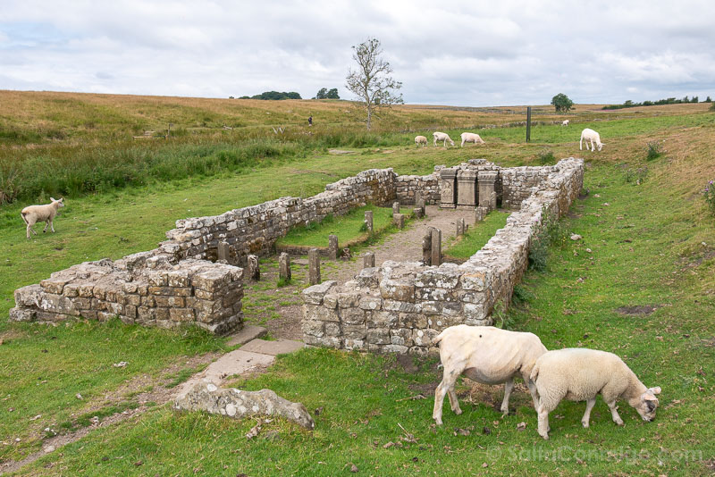 Templo de Mitra entre ovejas