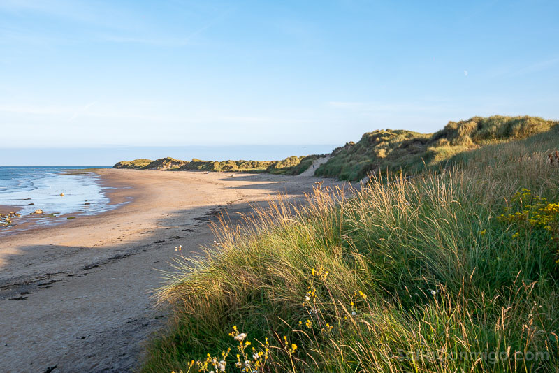 Amble Dunas Playa Qué visitar en Northumberland