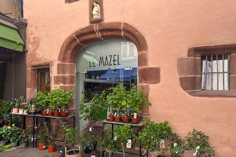 Rue du Touat Mazel