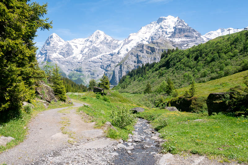 Mountain View Trail Schilthorn